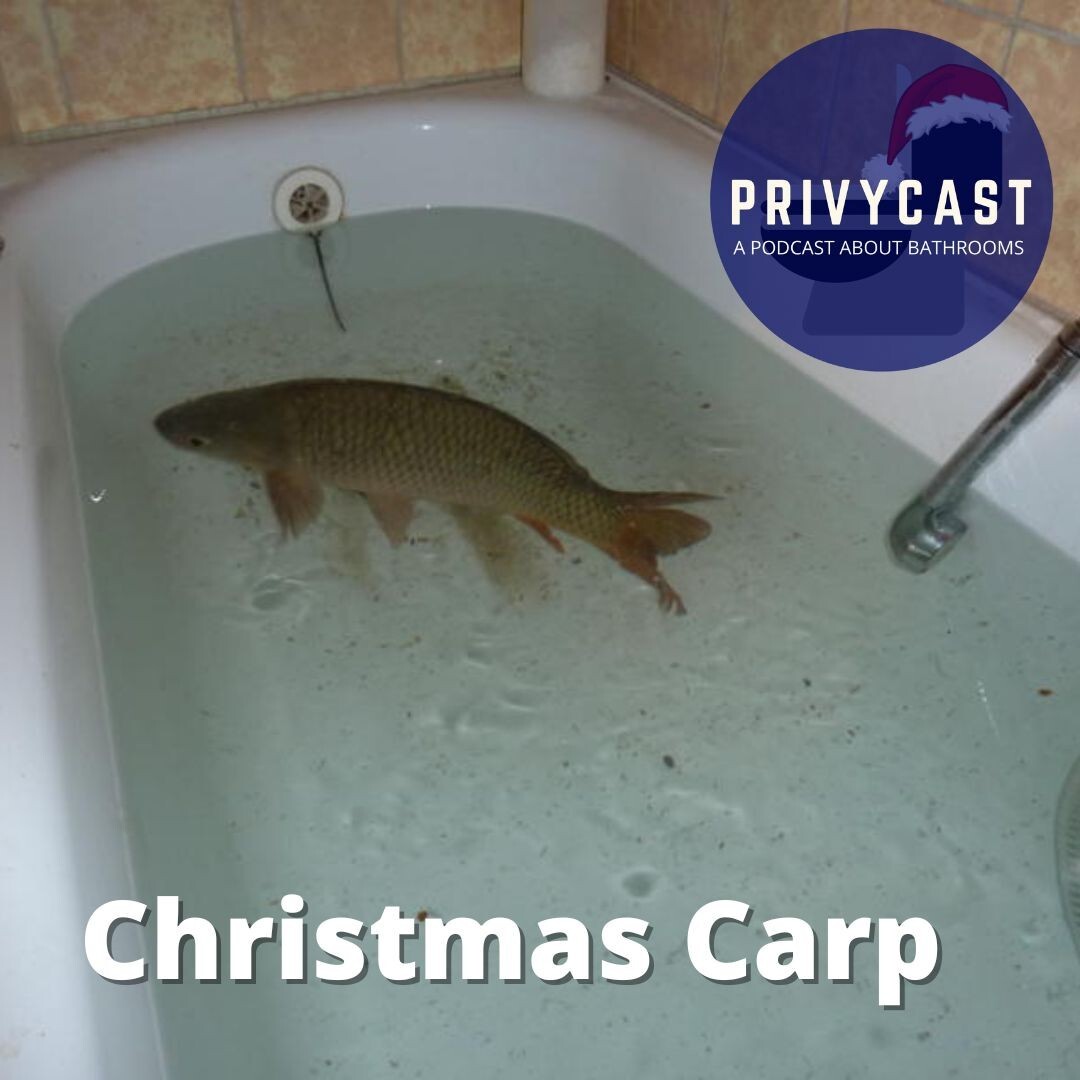 Privycast