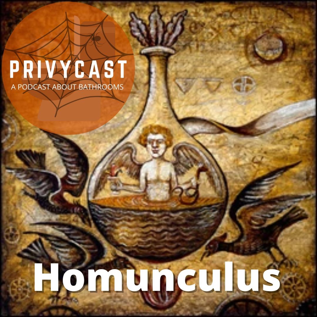 Privycast