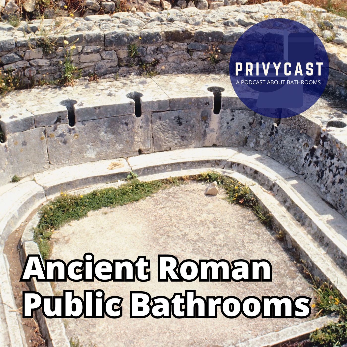 Privycast
