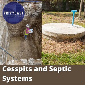 Cesspits and Septic Systems