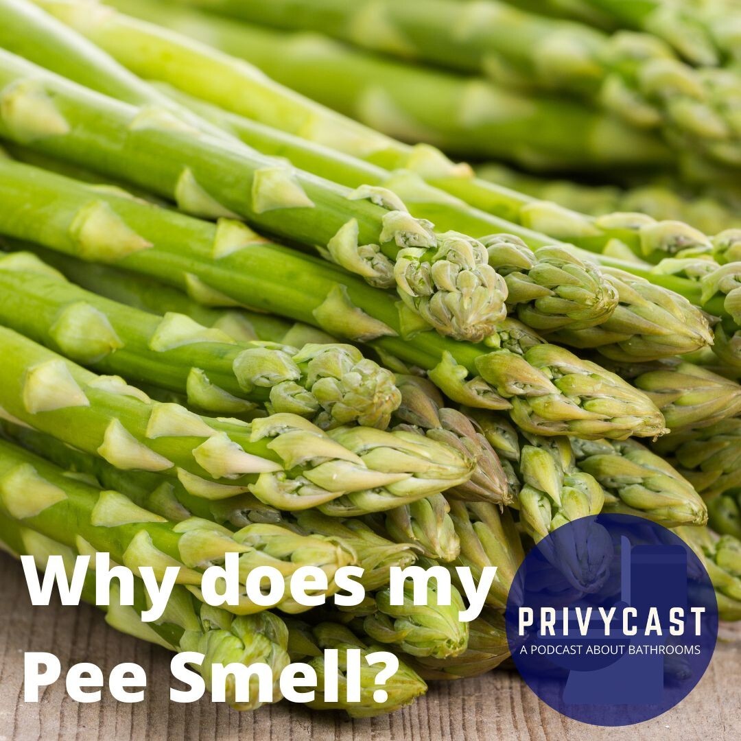 Privycast