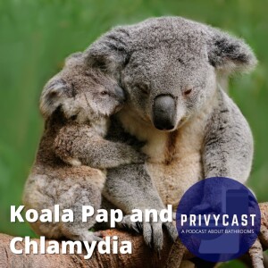 Koala Pap and Chlamydia (Groundhog Day Special 2023)