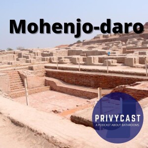 Mojenjo-Daro and Another Look at Public Pools