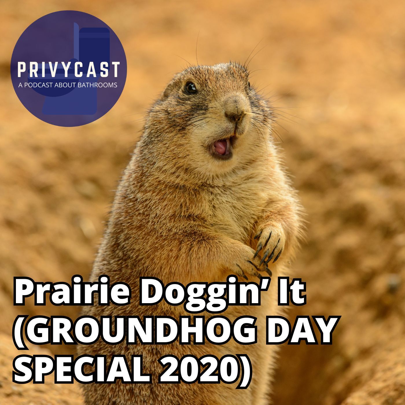 Privycast