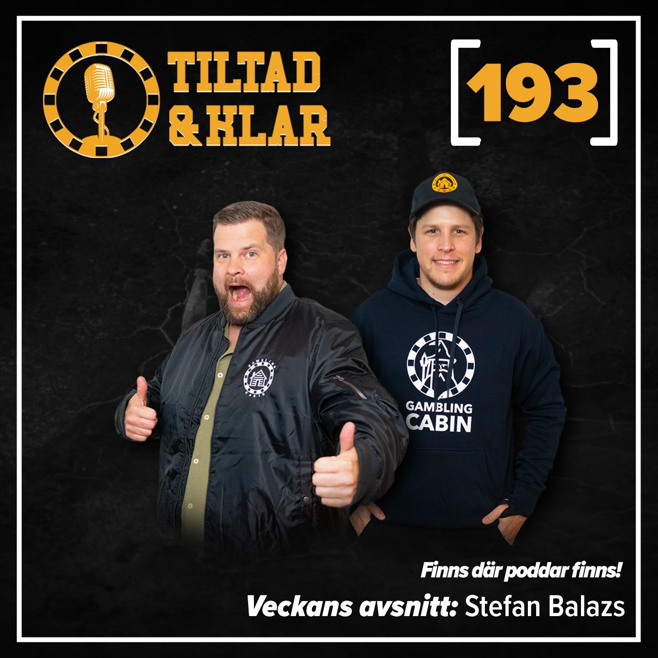 Episode Artwork