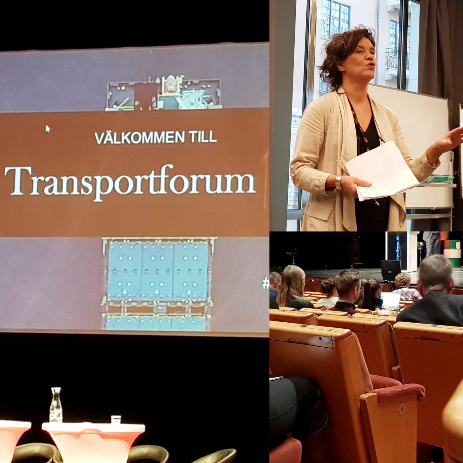 Eldsjälar och geofencing som möjliggörare för tvingande hastigheter utanför skolor, Maria Krafft, Trafikverket