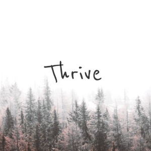 Warrior Shine Womens Conference - Thrive