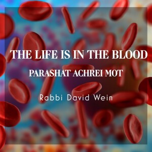 The Life is In the Blood (Parshat Achrei Mot) | Rabbi David Wein