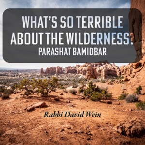 What’s So Terrible about the Wilderness? (Parashat Bamidbar) | Rabbi David Wein