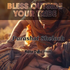 Bless Outside Your Tribe (Parashat Shelach) | Rabbi David Wein