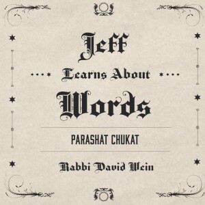 Jeff Learns about Words (Parashat Chukat) | Rabbi David Wein