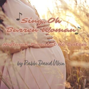 Sing, Oh Barren Woman (Haftarah Parashat Ki Teitzei) | Rabbi David Wein
