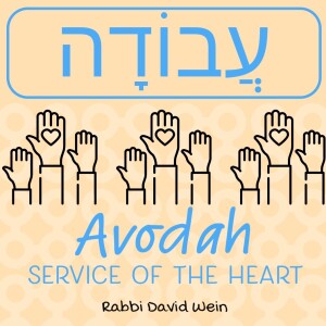 AVODAH - Service of the Heart | Rabbi David Wein