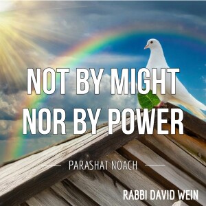 Not By Might, Nor By Power (Parashat Noach) | Rabbi David Wein