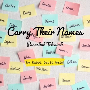 Carry Their Names (Parashat Tetzaveh) | Rabbi David Wein