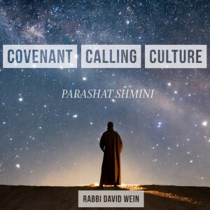 Covenant, Calling, and Culture (Parashat Shmini) | Rabbi David Wein