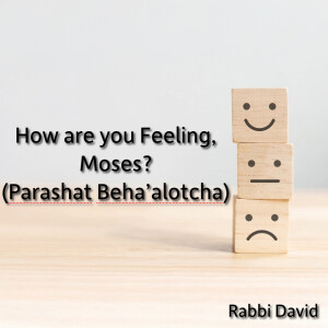 How are you Feeling, Moses? (Parshat Beha'alotcha) | Rabbi David