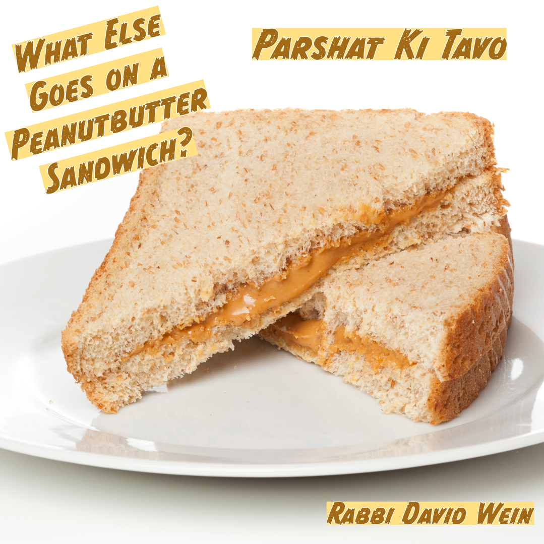 Tikvat Israel Sermons