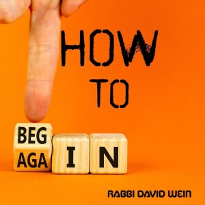 How to Begin Again (Shmini Atzeret/ Simchat Torah) | Rabbi David Wein