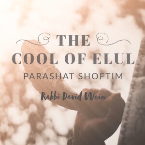 The Cool of Elul (Parashat Shoftim) | Rabbi David Wein