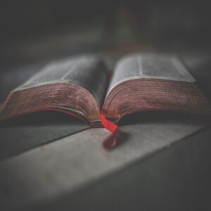 Honoring the Lord in Marriage & Singleness | 1 Cor. 7:1-16