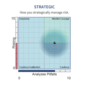How To Risk And Analyze Pitfalls | Discussing The Harrison Assessment