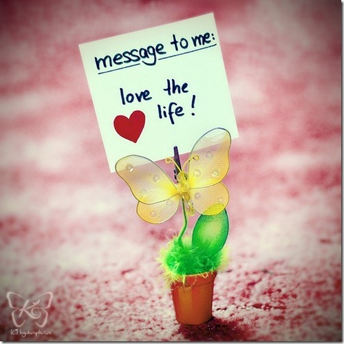 Happiness is not a destination, it's a mood!