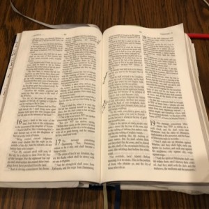 Isaiah 17 & 18 - Ephraim Humbled