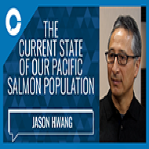 BC Salmon in Crisis