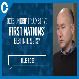 UNDRIP - Ellis Ross is not so sure