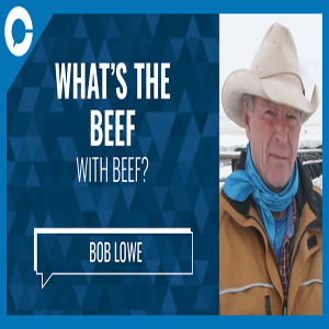 What's the Beef with Beef - Bob Lowe