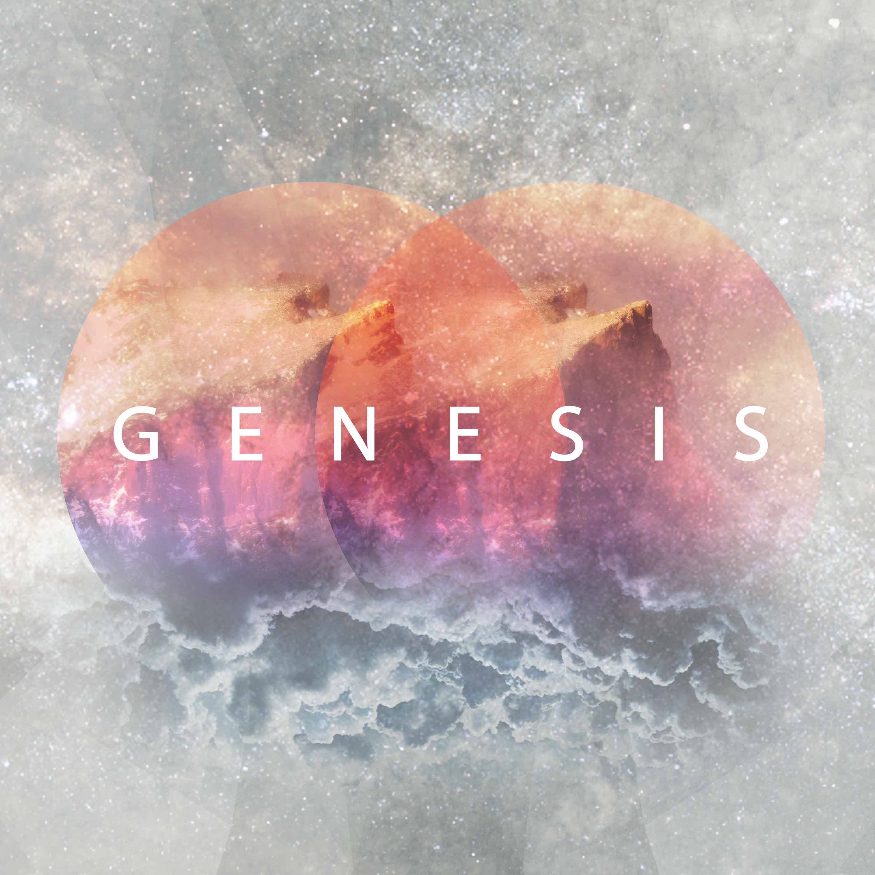 Genesis 7 // The Flood
