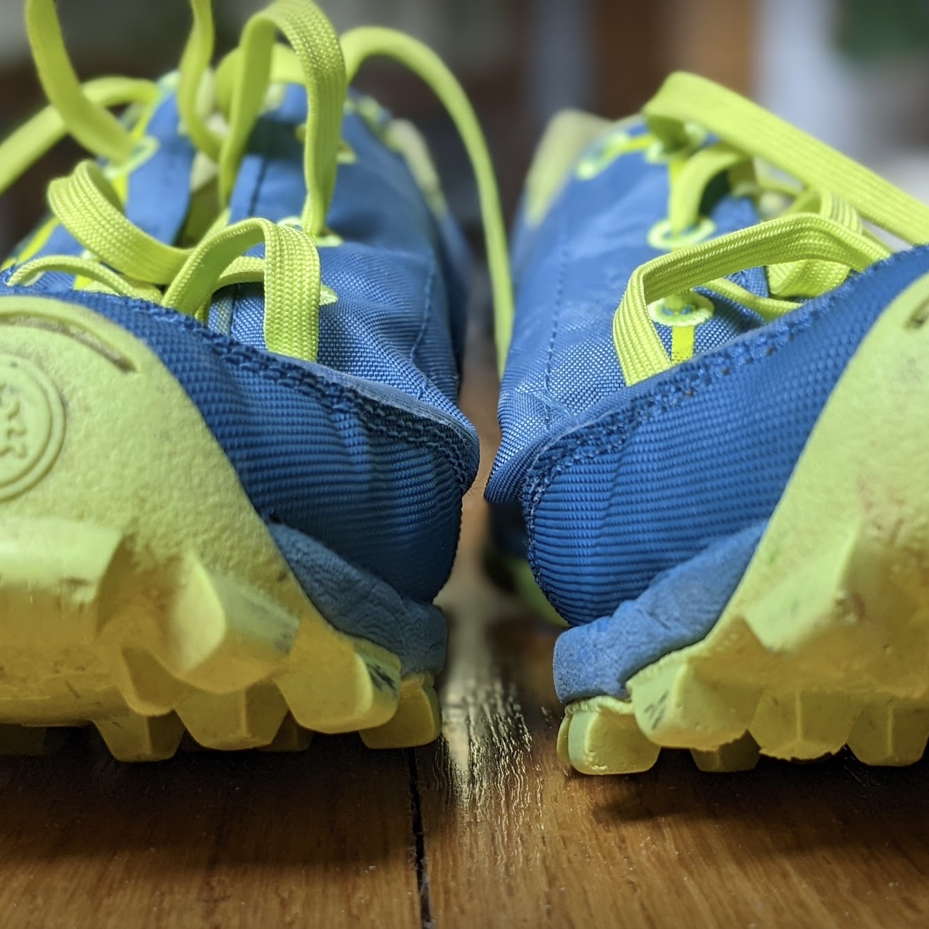 The Running Public