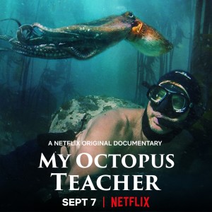 My Octopus Teacher - Pippa Ehrlich Interview