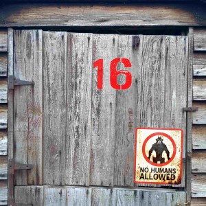 Door 16 - The Cosmic Shed Advent Calendar