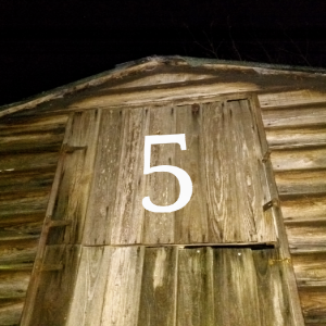 Door Five - The Cosmic Shed Advent Calendar
