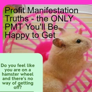 Profit Manifestation Truths - the ONLY PMT You‘ll Be Happy to Get