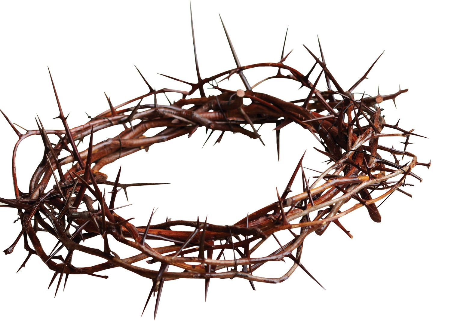 The Suffering of Jesus: 3/29/15 Sermon