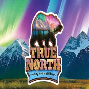True North