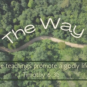 The Way, Gender in Ministry, 03.17.2024