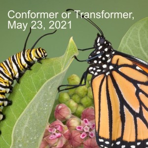 Conformer or Transformer, May 23, 2021