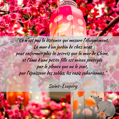 L’année du Rat
