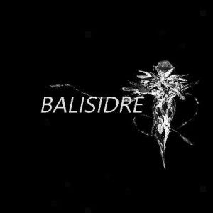 #00 Balisidre - choses et autres