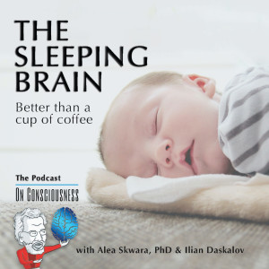 #19 — The Sleeping Brain: Better Than a Cup of Coffee
