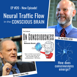 #20 — Neural Traffic Flow in the Conscious Brain with Dr. Jay Giedd