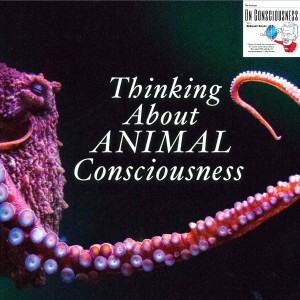 #13 — ”Thinking About Animal Consciousness” w/ David Edelman *On Consciousness*