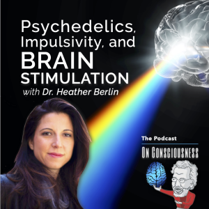 #14 — ”Psychedelics, Impulsivity, and Brain Stimulation” with Dr. Heather Berlin *On Consciousness*