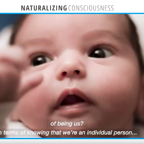Consciousness and the Brain