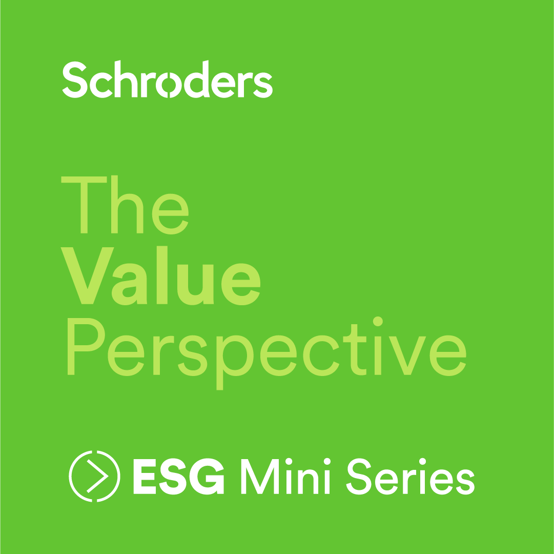 The Value Perspective: ESG Mini Series with Jim McDermott