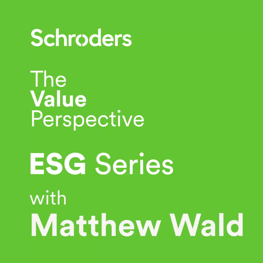 The Value Perspective ESG Mini Series with Matthew Wald